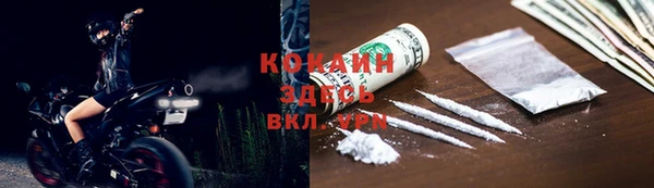 ПСИЛОЦИБИНОВЫЕ ГРИБЫ Алапаевск