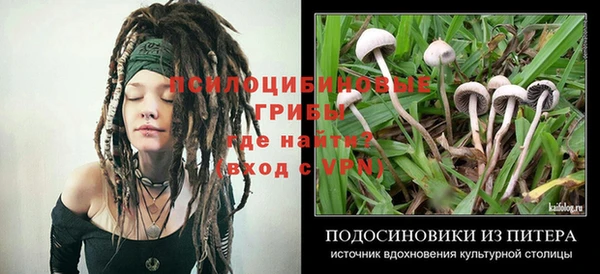 трава Михайловка