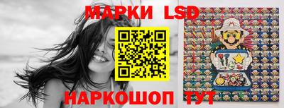 гидропоника Будённовск
