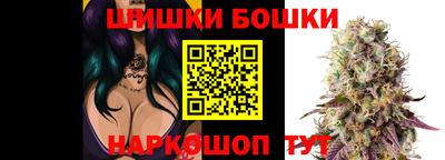 гидропоника Будённовск