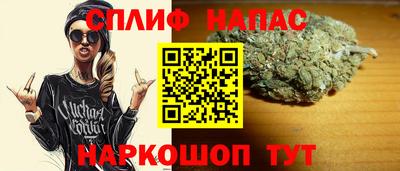 гидропоника Будённовск