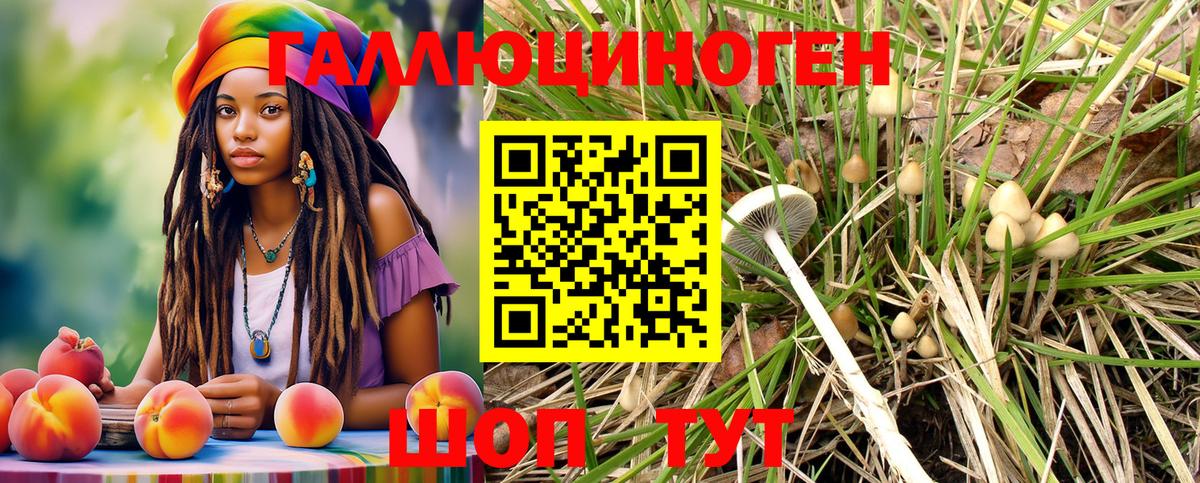 Мыски  Галлюциногенные грибы Psilocybe  Псилоцибиновые грибы прущие грибы  Вход с VPN 